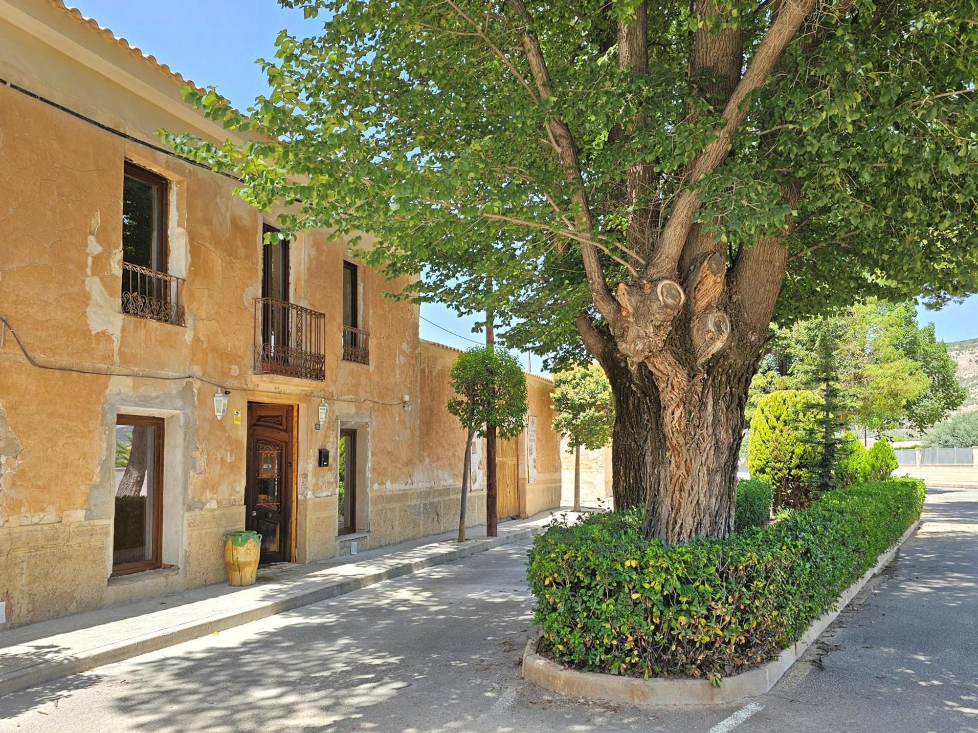 Bed and Breakfast Casa Rodriguillo Pinoso Esterno foto